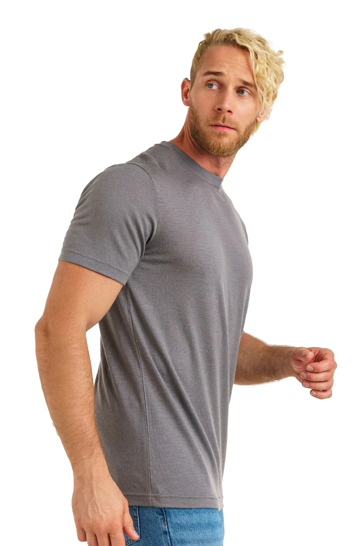 Men's Merino T-shirt 165 Perfect Gray ( socks)