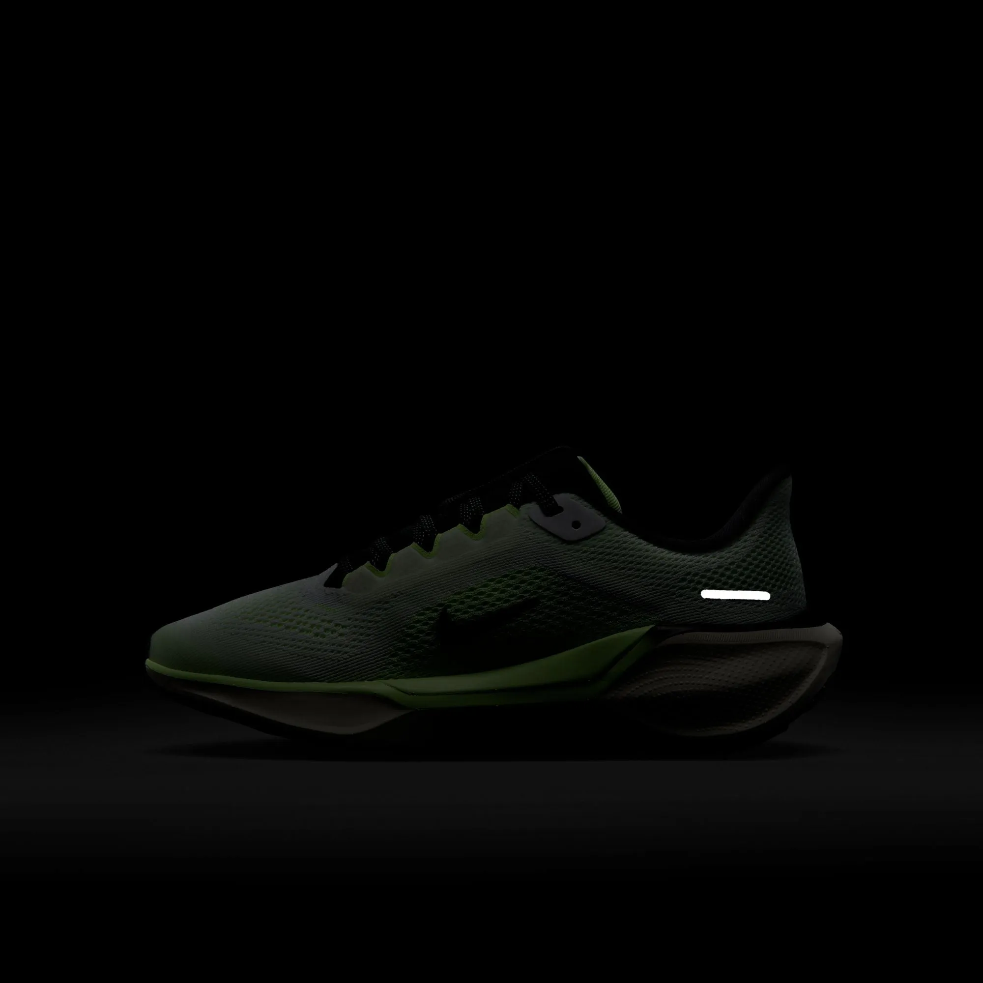 Nike Air Zoom Pegasus 41